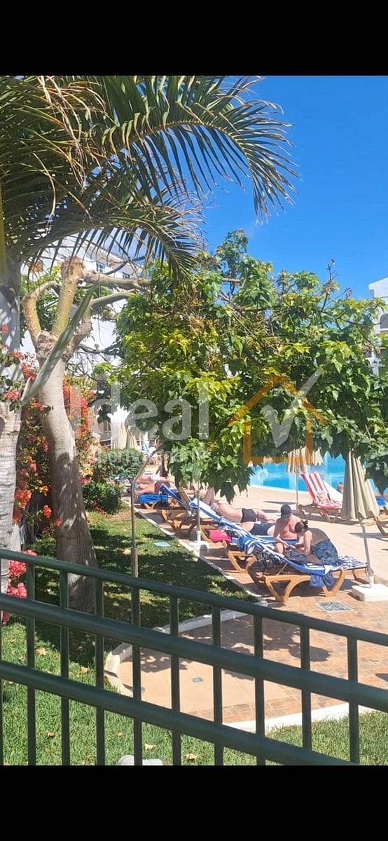 Studio till salu i Costa Adeje med pool - 295 000 € (Ref: 9811207)