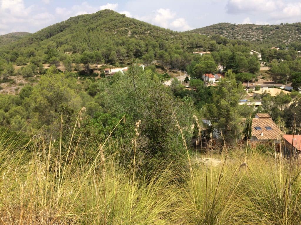 Grunde uden byggetilladelser til salg i Olivella - € 98.000 (Ref: 4839896)