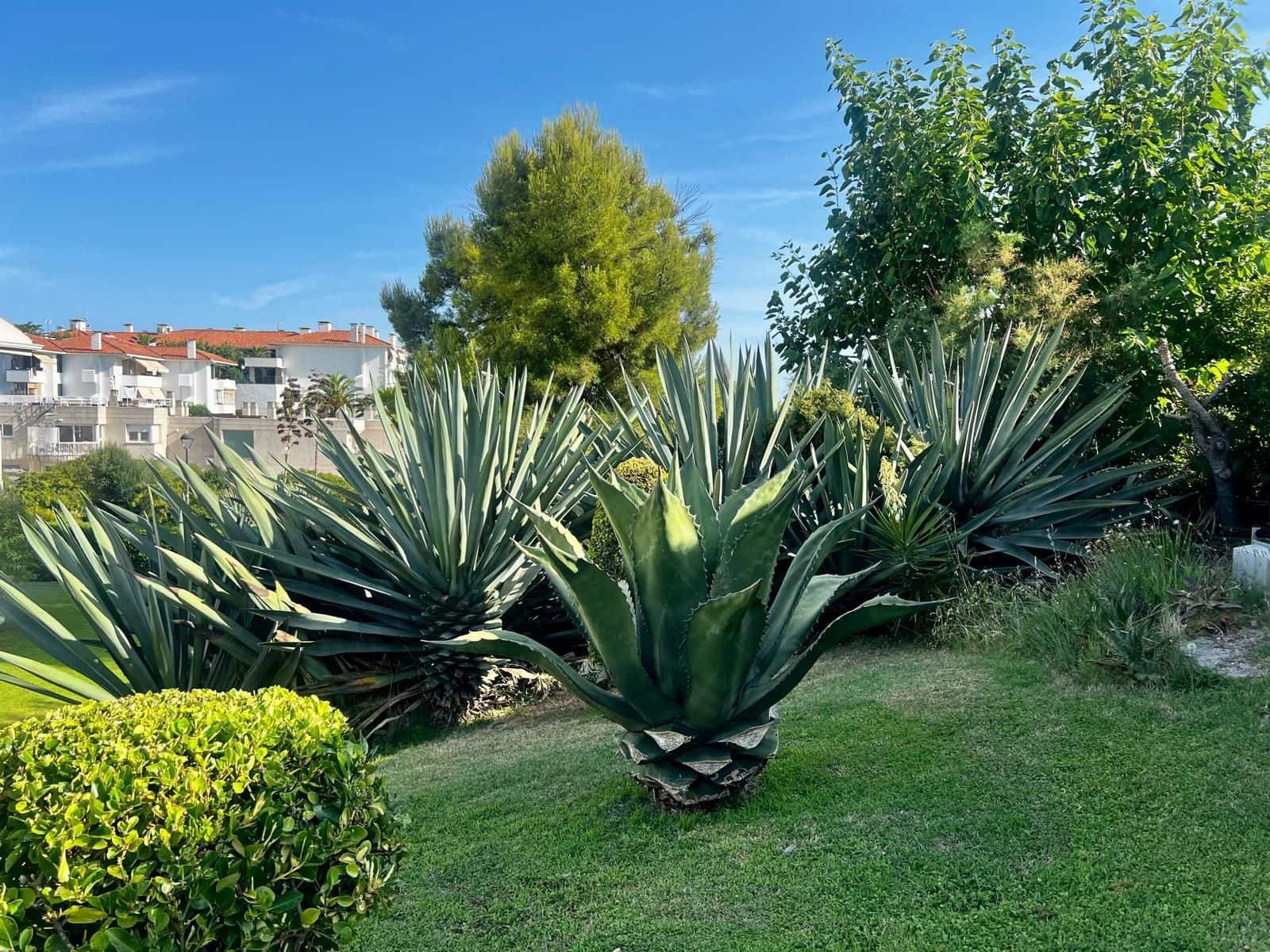 Studio for sale in Sitges with pool garage - € 240,000 (Ref: 9928843)
