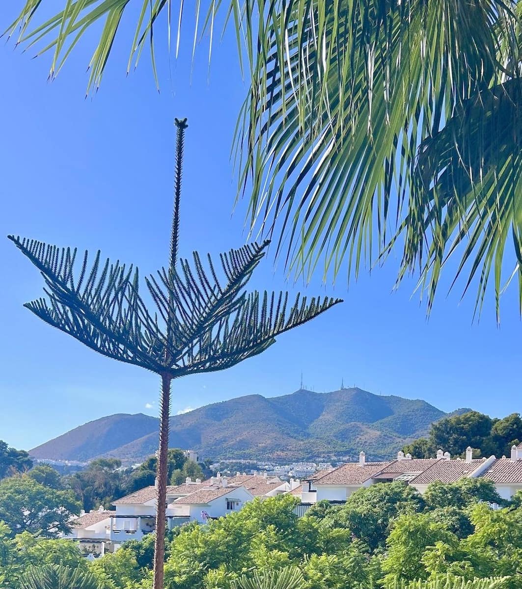 3 quarto Apartamento para venda em Torrequebrada com piscina - 415 000 € (Ref: 9435102)