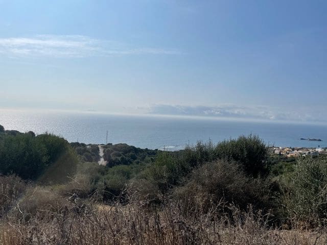 Finca/Maison de Campagne à vendre à Algeciras - 2 950 000 € (Ref: 5418196)