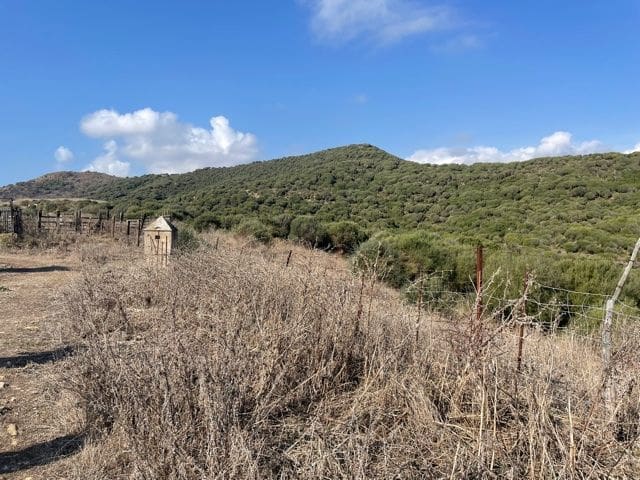 Finca/Maison de Campagne à vendre à Algeciras - 2 950 000 € (Ref: 5418196)