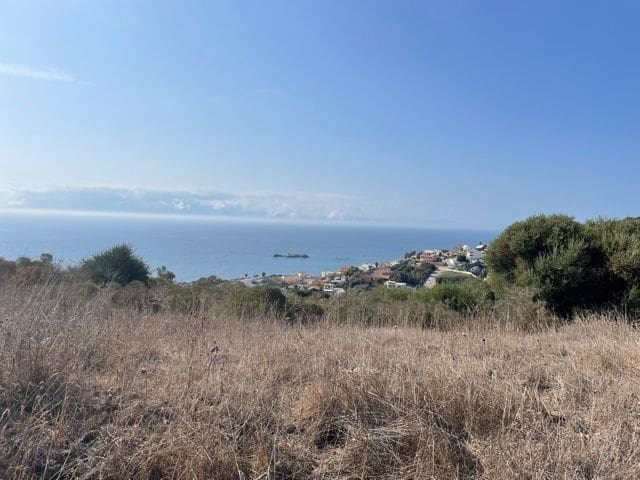 Finca/Maison de Campagne à vendre à Algeciras - 2 950 000 € (Ref: 5418196)