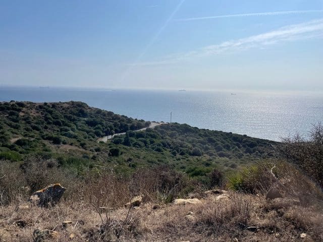 Finca/Maison de Campagne à vendre à Algeciras - 2 950 000 € (Ref: 5418196)