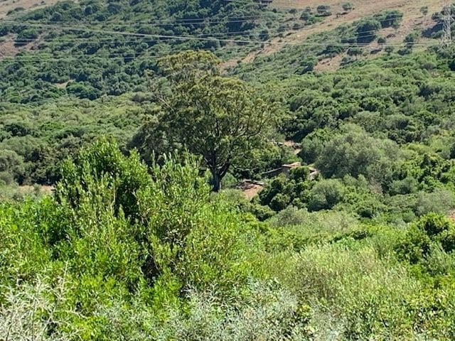 Finca/Landhuis te koop in Tarifa - € 545.000 (Ref: 6664157)