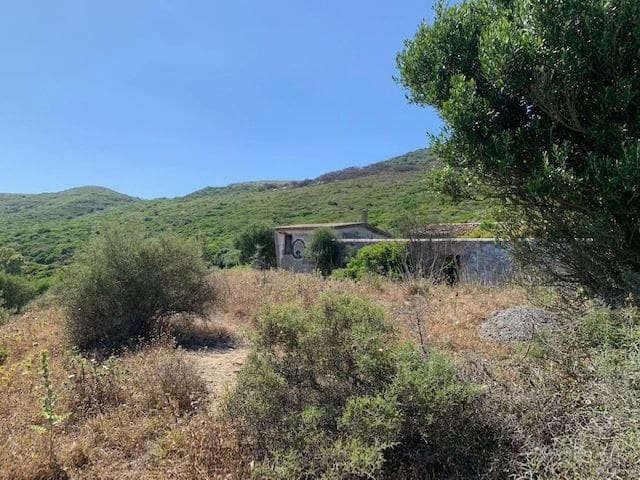 Finca/Landhuis te koop in Tarifa - € 545.000 (Ref: 6664157)