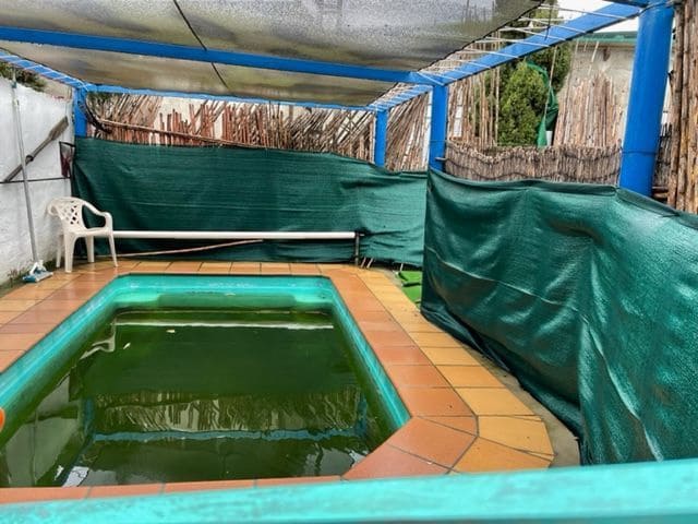 4 soveværelse Finca/Landehus til salg i Tarifa med swimmingpool garage - € 700.000 (Ref: 6712909)