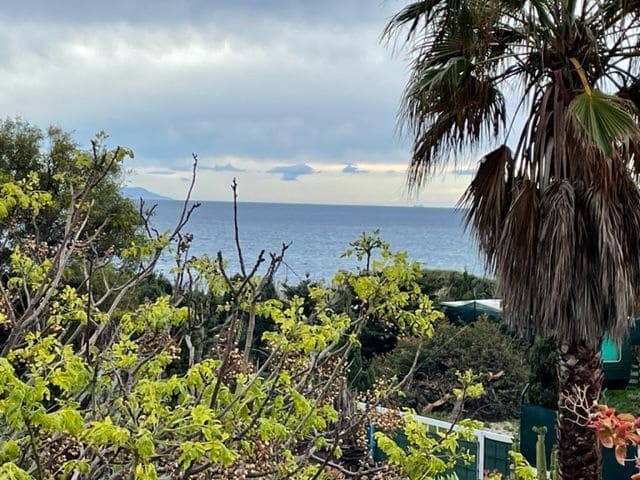 4 soveværelse Finca/Landehus til salg i Tarifa med swimmingpool garage - € 700.000 (Ref: 6712909)