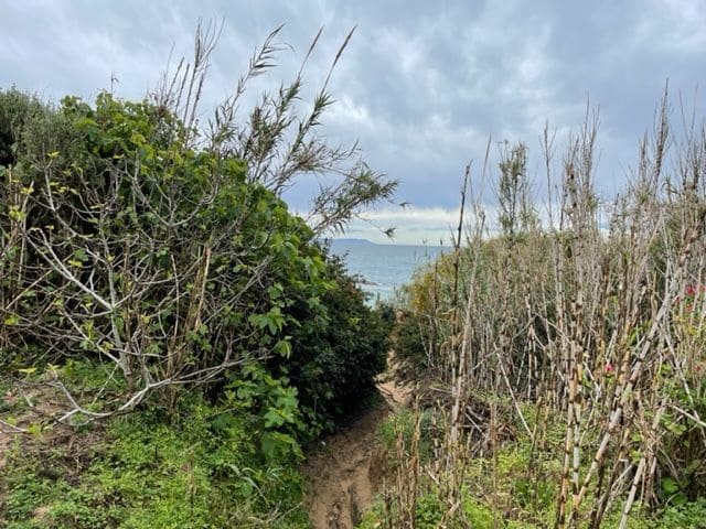 4 soveværelse Finca/Landehus til salg i Tarifa med swimmingpool garage - € 700.000 (Ref: 6712909)