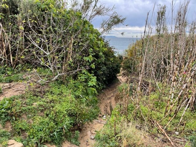 4 soveværelse Finca/Landehus til salg i Tarifa med swimmingpool garage - € 700.000 (Ref: 6712909)