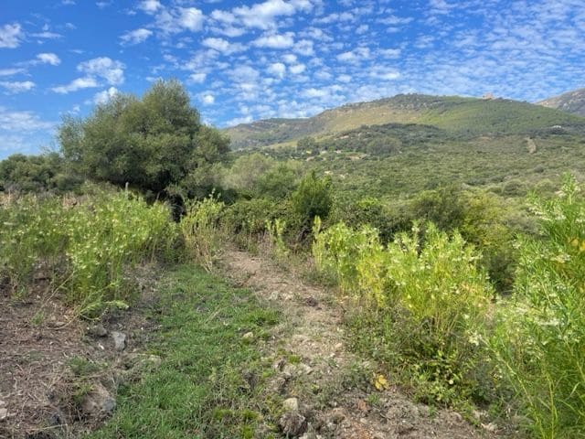 Maalaistalo myytävänä paikassa Tarifa - 250 000 € (Ref: 8622584)