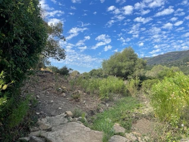 Maalaistalo myytävänä paikassa Tarifa - 250 000 € (Ref: 8622584)