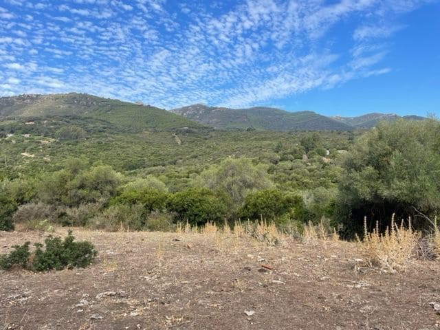 Finka/Dom wiejski na sprzedaż w Tarifa - 250 000 € (Ref: 8622584)