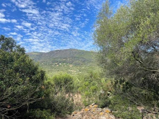 Maalaistalo myytävänä paikassa Tarifa - 250 000 € (Ref: 8622584)