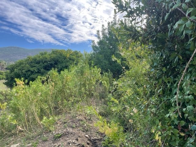 Maalaistalo myytävänä paikassa Tarifa - 250 000 € (Ref: 8622584)