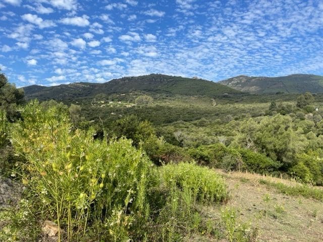 Maalaistalo myytävänä paikassa Tarifa - 250 000 € (Ref: 8622584)