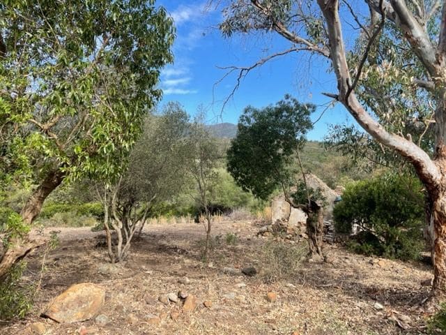 Finka/Dom wiejski na sprzedaż w Tarifa - 250 000 € (Ref: 8622584)