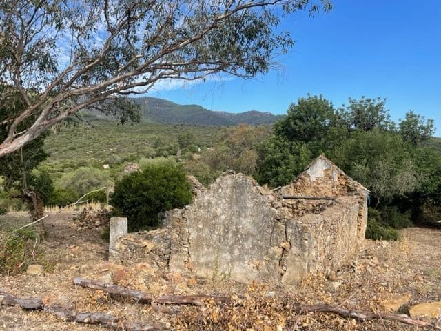 Finka/Dom wiejski na sprzedaż w Tarifa - 250 000 € (Ref: 8622584)