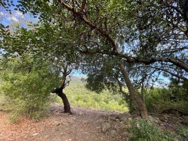 Maalaistalo myytävänä paikassa Tarifa - 250 000 € (Ref: 8622584)