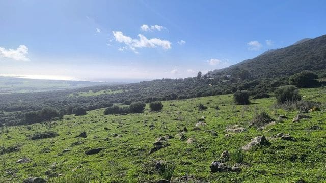 Finca/Landehus til salg i Tarifa - € 900.000 (Ref: 8741005)