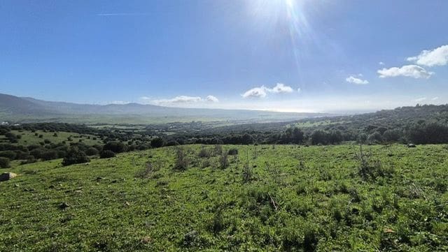 Finca/Casa di Campagna in vendita in Tarifa - 900.000 € (Rif: 8741005)