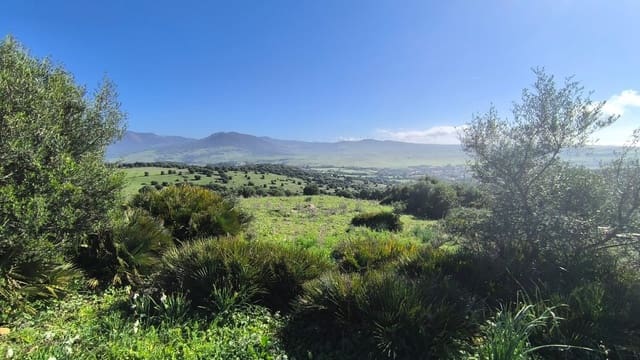 Finca/Landehus til salg i Tarifa - € 900.000 (Ref: 8741005)