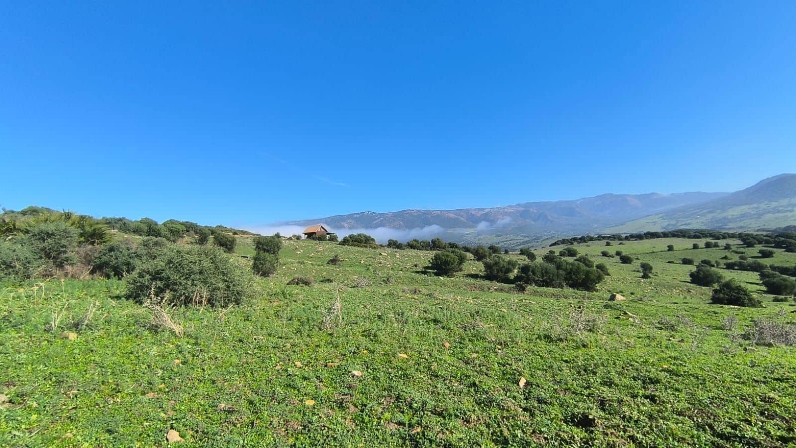 Finca/Casa di Campagna in vendita in Tarifa - 900.000 € (Rif: 8741005)
