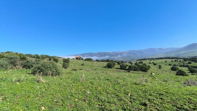 Finca/Landehus til salg i Tarifa - € 900.000 (Ref: 8741005)