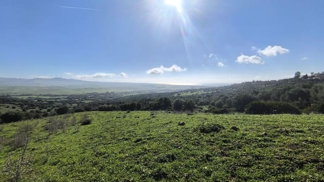 Finca/Landehus til salg i Tarifa - € 900.000 (Ref: 8741005)