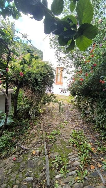 5 soverom Finca/Herregård til salgs i Tarifa - € 900 000 (Ref: 8800832)