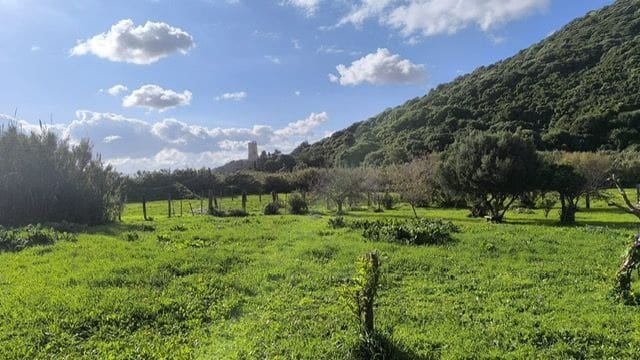 5 soverom Finca/Herregård til salgs i Tarifa - € 900 000 (Ref: 8800832)