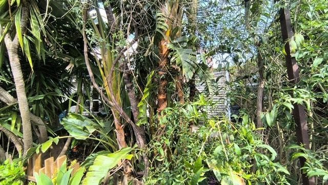 14 soveværelse Villa til salg i Tarifa med garage - € 2.600.000 (Ref: 8896139)