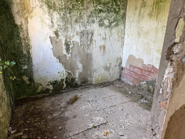 5 chambre Finca/Maison de Campagne à vendre à Algeciras avec garage - 420 000 € (Ref: 8910829)