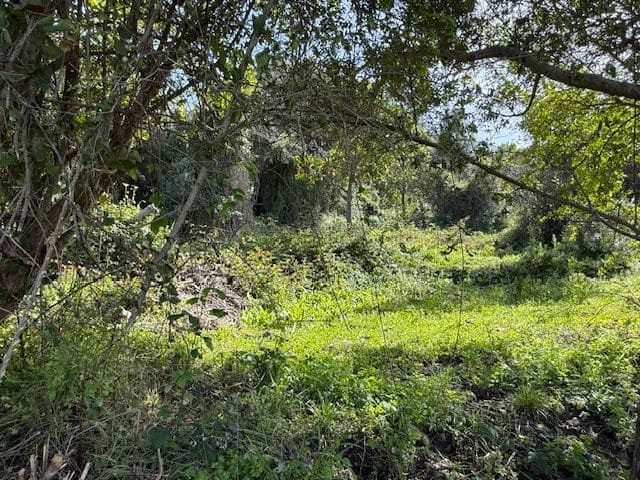 5 chambre Finca/Maison de Campagne à vendre à Algeciras avec garage - 420 000 € (Ref: 8910829)