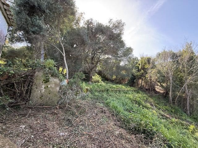5 chambre Finca/Maison de Campagne à vendre à Algeciras avec garage - 420 000 € (Ref: 8910829)