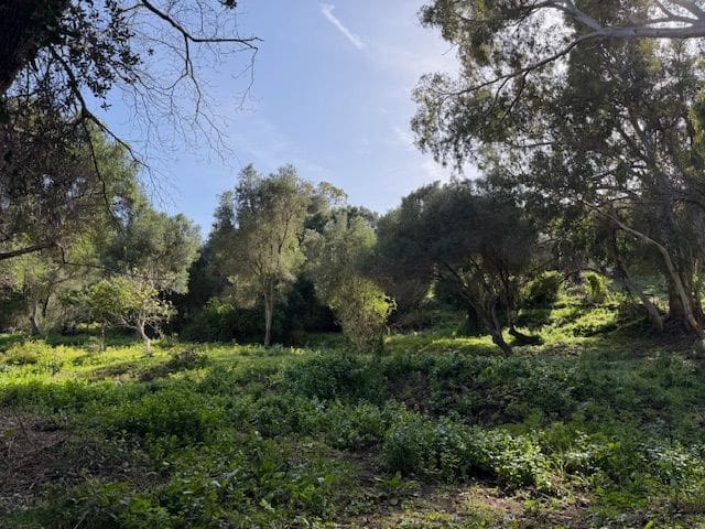 5 chambre Finca/Maison de Campagne à vendre à Algeciras avec garage - 420 000 € (Ref: 8910829)