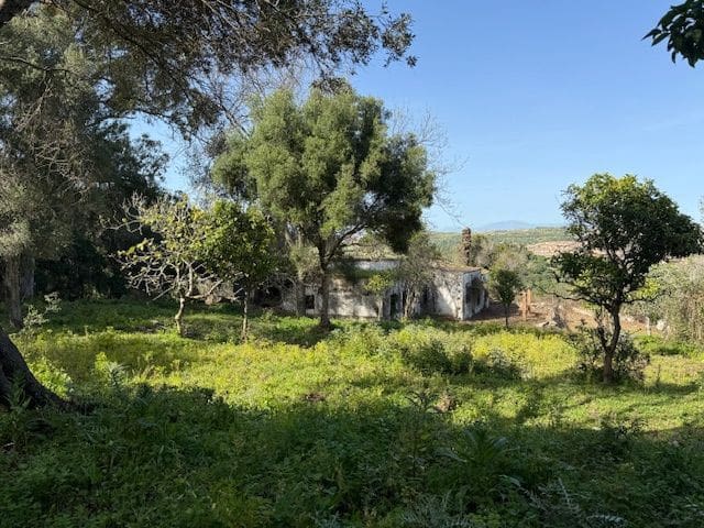 5 chambre Finca/Maison de Campagne à vendre à Algeciras avec garage - 420 000 € (Ref: 8910829)