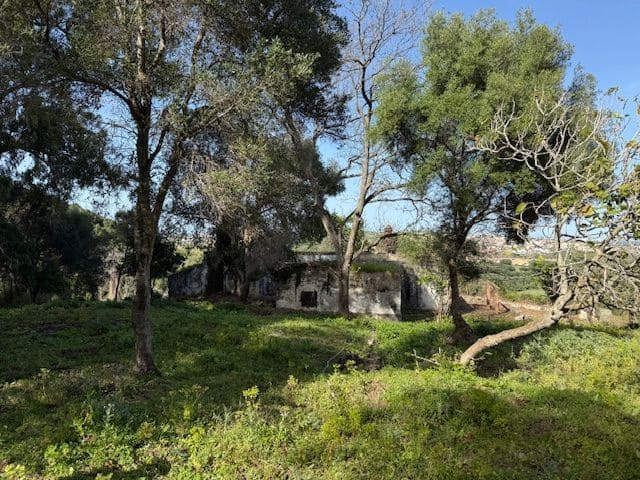 5 chambre Finca/Maison de Campagne à vendre à Algeciras avec garage - 420 000 € (Ref: 8910829)