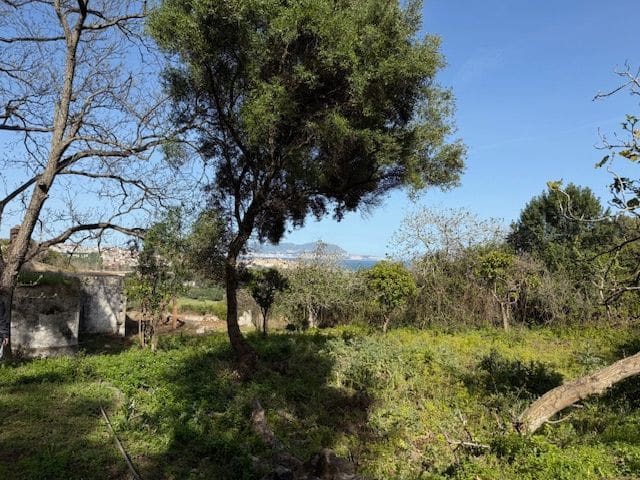 5 chambre Finca/Maison de Campagne à vendre à Algeciras avec garage - 420 000 € (Ref: 8910829)