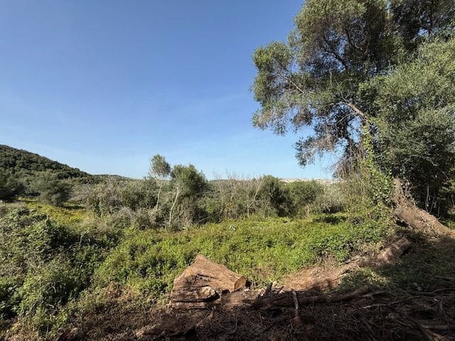 5 chambre Finca/Maison de Campagne à vendre à Algeciras avec garage - 420 000 € (Ref: 8910829)