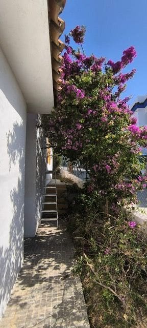 3 soverom Villa til salgs i Tarifa - € 525 000 (Ref: 9185022)