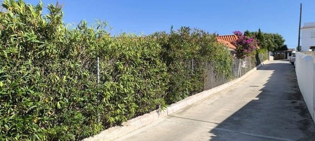 3 soveværelse Villa til salg i Tarifa - € 525.000 (Ref: 9185022)