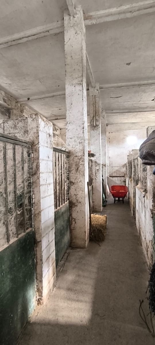 2 chambre Finca/Maison de Campagne à vendre à Algeciras - 590 000 € (Ref: 9402892)