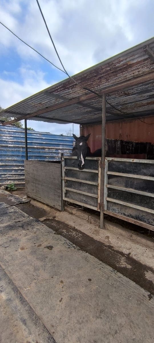 2 chambre Finca/Maison de Campagne à vendre à Algeciras - 590 000 € (Ref: 9402892)