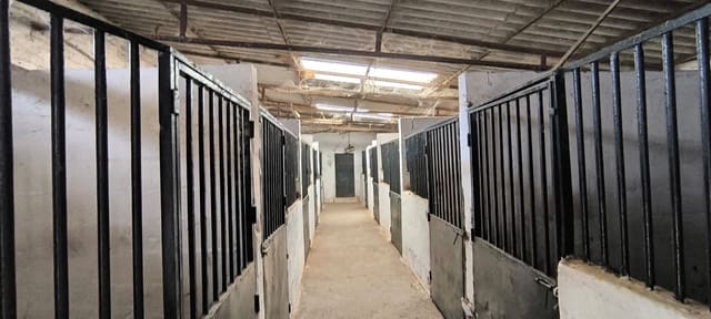 2 chambre Finca/Maison de Campagne à vendre à Algeciras - 590 000 € (Ref: 9402892)