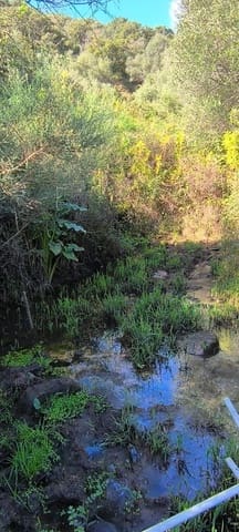 Finka/Dom wiejski na sprzedaż w Tarifa z garażem - 520 000 € (Ref: 9448616)