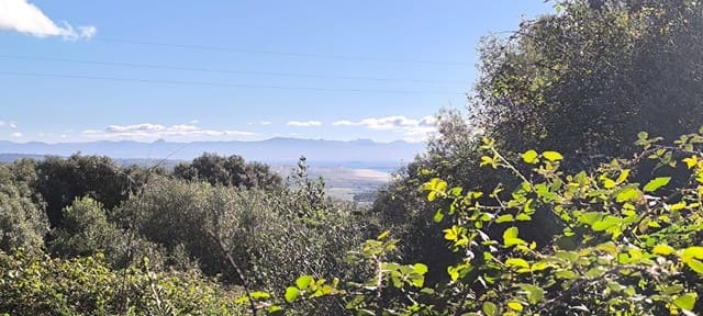 Finka/Dom wiejski na sprzedaż w Tarifa z garażem - 520 000 € (Ref: 9448616)