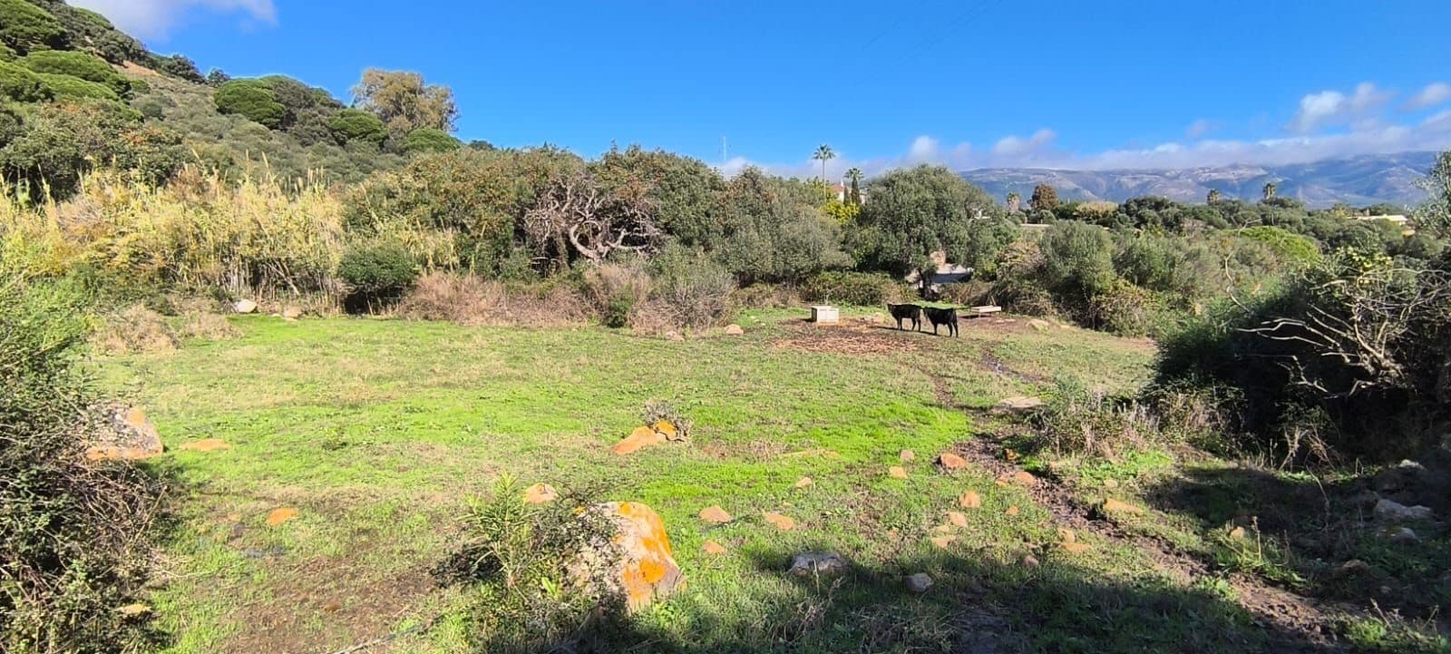 Finca/Landhuis te koop in Tarifa met garage - € 520.000 (Ref: 9448616)