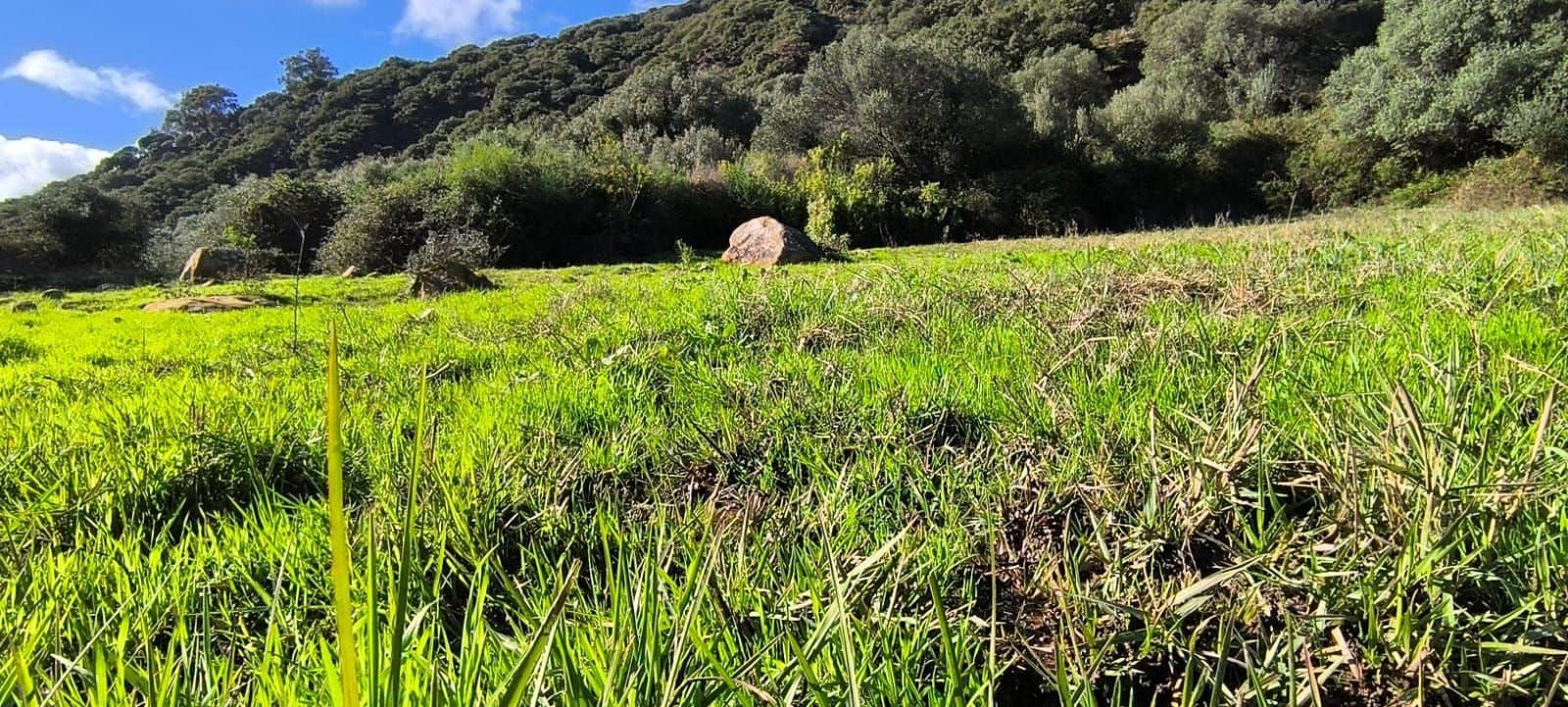 Finca/Landhuis te koop in Tarifa met garage - € 520.000 (Ref: 9448616)