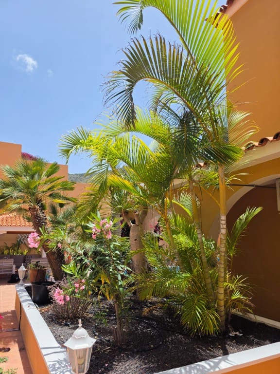 3 slaapkamer Villa te koop in Roque del Conde - € 895.000 (Ref: 9301916)